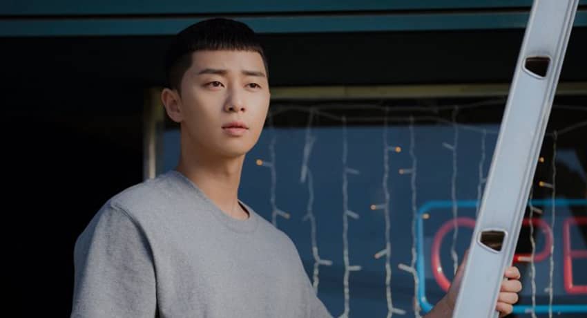 Park Seo Joon Chestnut Hair